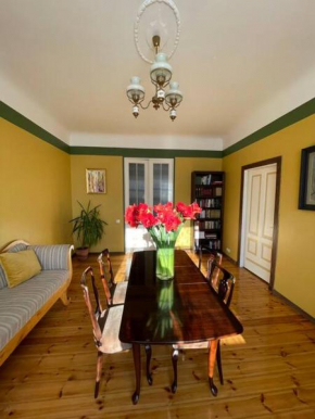 Spacious and bright center apartment with cityview